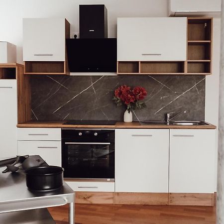 Central Apartment Maister Kranj Buitenkant foto
