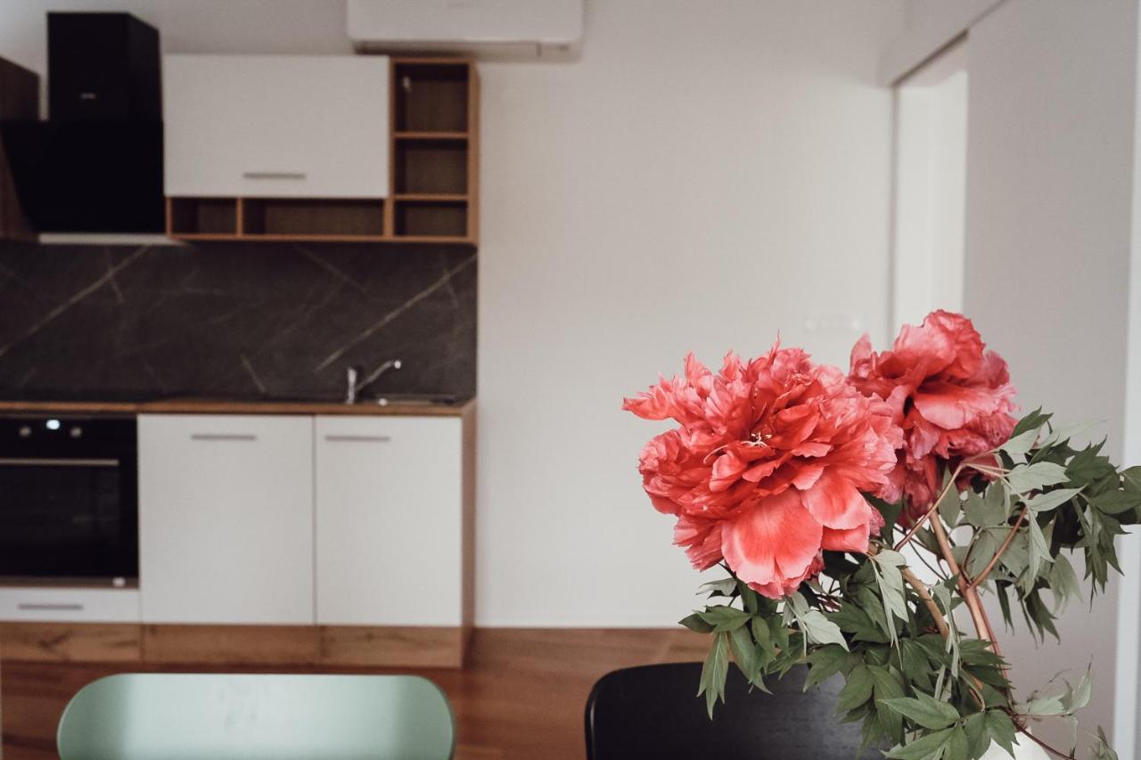 Central Apartment Maister Kranj Buitenkant foto